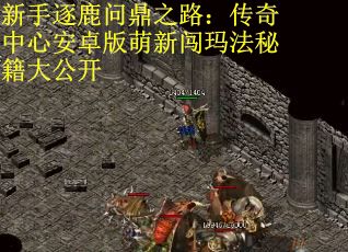 新手逐鹿问鼎之路：传奇中心安卓版萌新闯玛法秘籍大公开