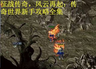 征战传奇，风云再起：传奇世界新手攻略全集