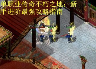 单职业传奇不朽之地：新手进阶最强攻略指南