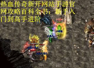 热血传奇新开网站手游官网攻略百科全书：新手入门到高手进阶