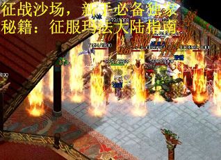 征战沙场，新手必备独家秘籍：征服玛法大陆指南