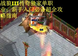 战狼III传奇独家单职业：新手入门必备超全攻略指南