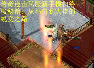 传奇连击私服新手横扫终极秘籍：从小白到大佬的蜕变之路