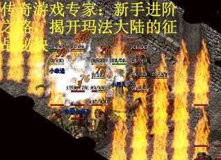传奇游戏专家：新手进阶之路，揭开玛法大陆的征战秘诀