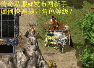 传奇私服sf发布网新手如何快速提升角色等级？