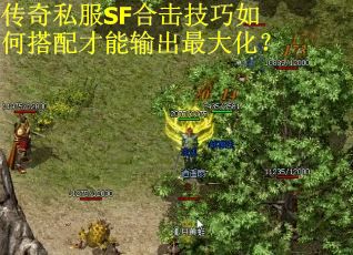 传奇私服SF合击技巧如何搭配才能输出最大化?
