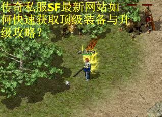 传奇私服SF最新网站如何快速获取顶级装备与升级攻略？