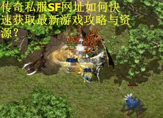 传奇私服SF网址如何快速获取最新游戏攻略与资源？