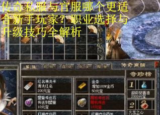 传奇私服与官服哪个更适合新手玩家？职业选择与升级技巧全解析