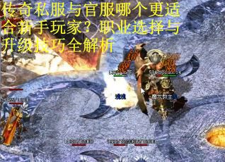 传奇私服与官服哪个更适合新手玩家？职业选择与升级技巧全解析