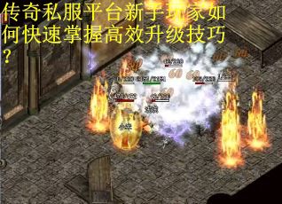 传奇私服平台新手玩家如何快速掌握高效升级技巧？