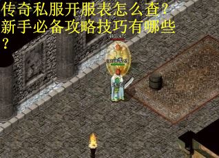 传奇私服开服表怎么查？新手必备攻略技巧有哪些？