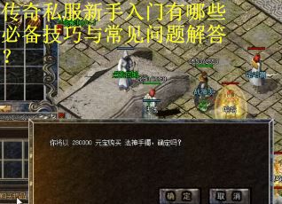 传奇私服新手入门有哪些必备技巧与常见问题解答？