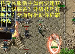 传奇私服新手如何快速获取顶级装备？升级技巧有哪些？全面解析助你称霸游戏