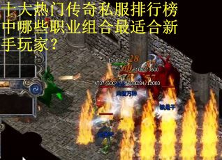 十大热门传奇私服排行榜中哪些职业组合最适合新手玩家？