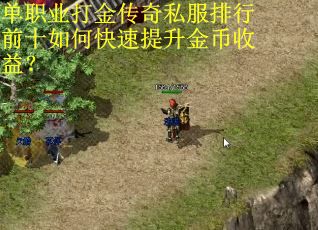 单职业打金传奇私服排行前十如何快速提升金币收益？