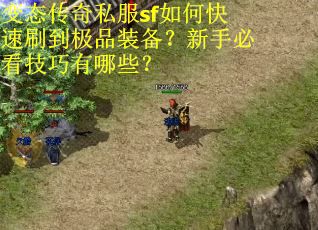 变态传奇私服sf如何快速刷到极品装备？新手必看技巧有哪些？