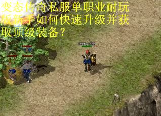 变态传奇私服单职业耐玩版新手如何快速升级并获取顶级装备？
