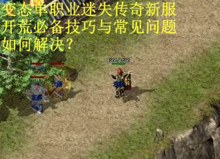 变态单职业迷失传奇新服开荒必备技巧与常见问题如何解决? 变态单职业迷失传奇新服开荒必备技巧与常见问题如何解决?
