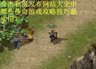合击私服发布网站大全中哪些传奇游戏攻略技巧最实用? 合击私服发布网站大全中哪些传奇游戏攻略技巧最实用?