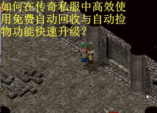 如何在传奇私服中高效使用免费自动回收与自动捡物功能快速升级?