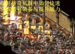 新开传奇私服中如何快速获取稀有装备与提升战力?