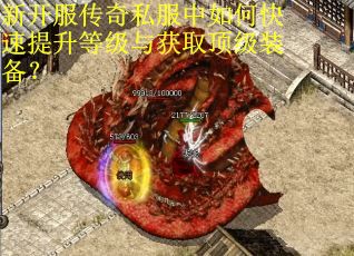 新开服传奇私服中如何快速提升等级与获取顶级装备？