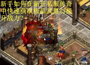 新手如何在新开私服传奇中快速获取极品武器与提升战力?