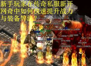 新手玩家在传奇私服新开网奇中如何快速提升战力与装备等级?