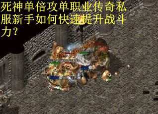 死神单倍攻单职业传奇私服新手如何快速提升战斗力?