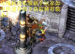 玫瑰传奇私服新手玩家如何快速升级并获取稀有装备?