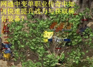网通中变单职业传奇中如何快速提升战力与获取稀有装备? 网通中变单职业传奇中如何快速提升战力与获取稀有装备?