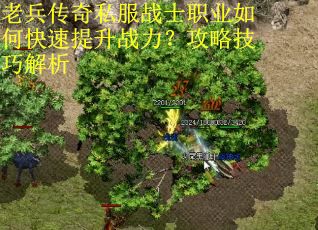 老兵传奇私服战士职业如何快速提升战力?攻略技巧解析