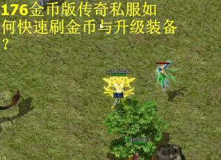 176金币版传奇私服如何快速刷金币与升级装备？