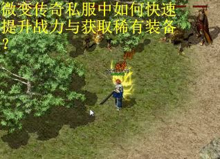 微变传奇私服中如何快速提升战力与获取稀有装备？