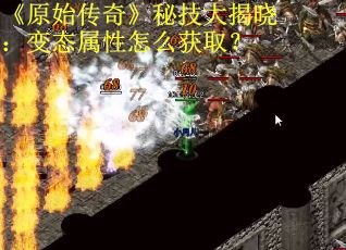 《原始传奇》秘技大揭晓：变态属性怎么获取？