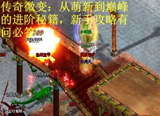 传奇微变：从萌新到巅峰的进阶秘籍，新手攻略有问必答
