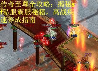传奇至尊全攻略：揭秘sf私服霸服秘籍，高战疾速养成指南