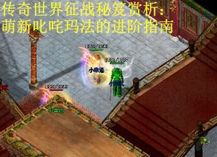 传奇世界征战秘笈赏析：萌新叱咤玛法的进阶指南