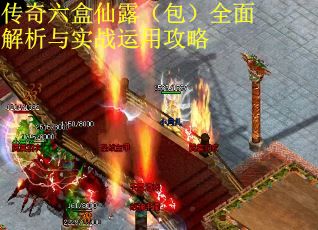 传奇六盒仙露（包）全面解析与实战运用攻略