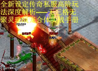 全新设定传奇私服高阶玩法深度解析——无三格无聚灵珠战宠合体实战手册