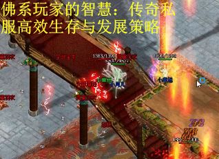 佛系玩家的智慧：传奇私服高效生存与发展策略