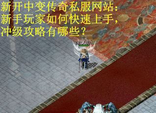 新开中变传奇私服网站：新手玩家如何快速上手，冲级攻略有哪些？