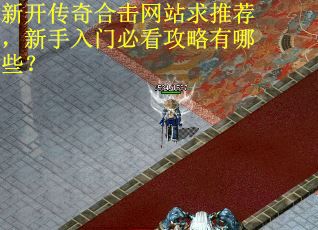新开传奇合击网站求推荐，新手入门必看攻略有哪些？