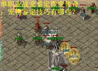 单职业战宠鉴定微变传奇：宠物鉴定技巧有哪些？