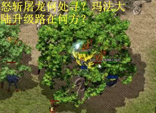 怒斩屠龙何处寻？玛法大陆升级路在何方？