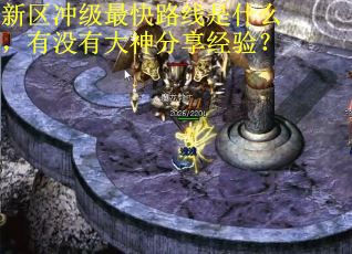 新区冲级最快路线是什么，有没有大神分享经验？