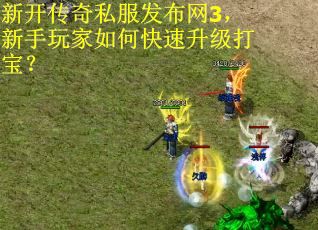 新开传奇私服发布网3，新手玩家如何快速升级打宝？
