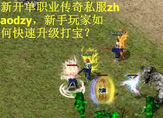 新开单职业传奇私服zhaodzy，新手玩家如何快速升级打宝？