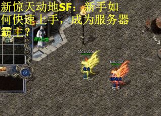 新惊天动地SF：新手如何快速上手，成为服务器霸主？